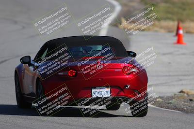 media/Nov-19-2023-Extreme Speed (Sun) [[bd0eec5490]]/Purple/Back Shots/